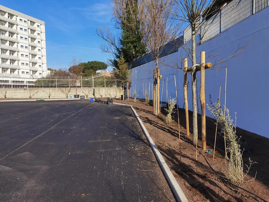 Gallery Greenforyou13