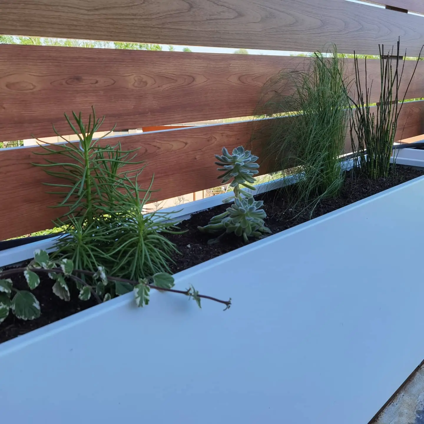 Gallery Greenforyou3