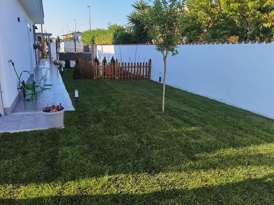 Gallery Greenforyou5